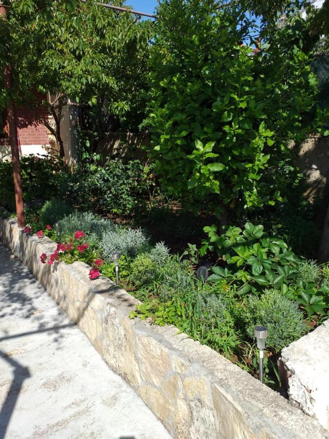 Apartments Jelicic Biograd Na Moru Exterior foto