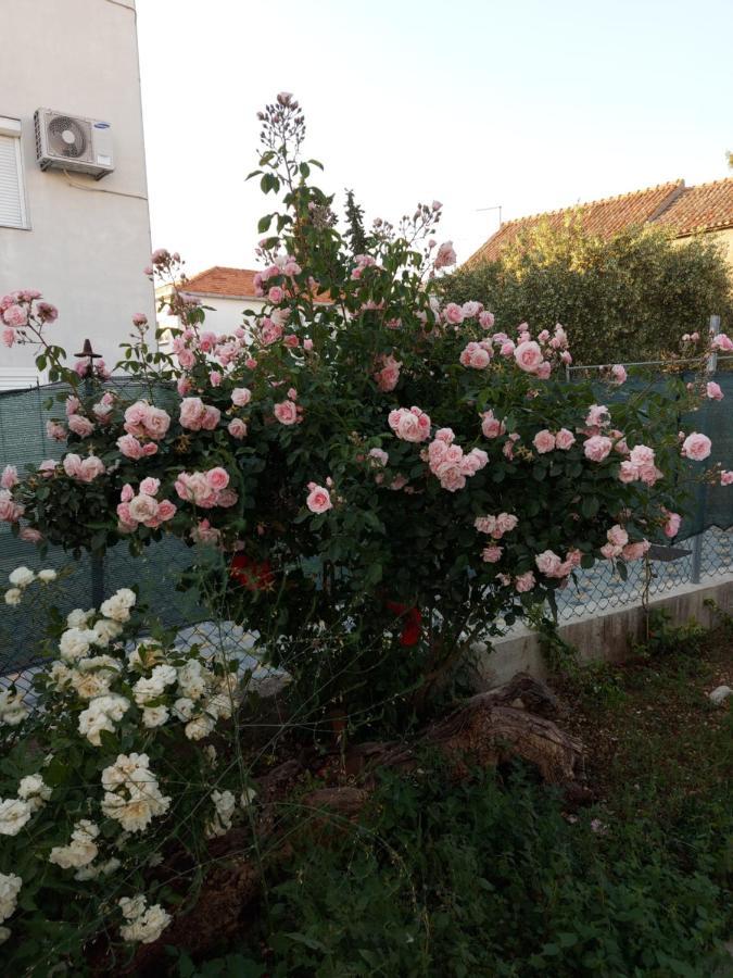 Apartments Jelicic Biograd Na Moru Exterior foto